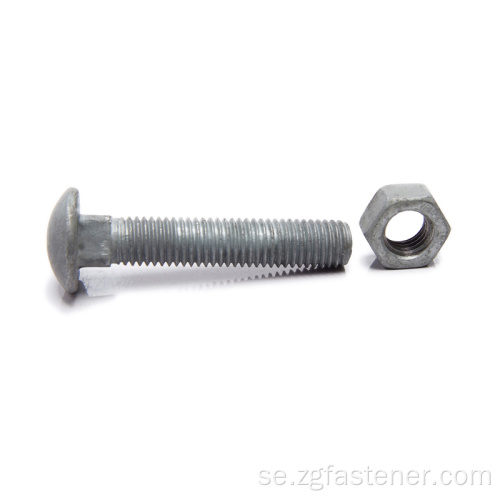 Hot Dip Galvanized Cup Head Square Neck Bults